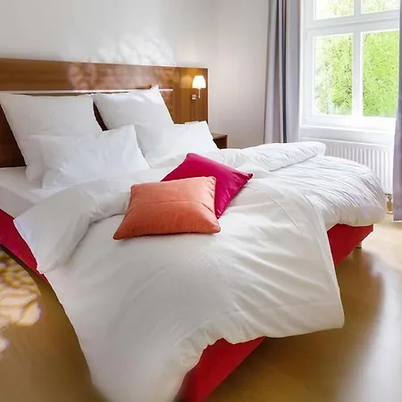 Aesculap By Rujana בינץ