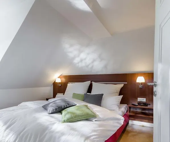 Aesculap By Rujana *